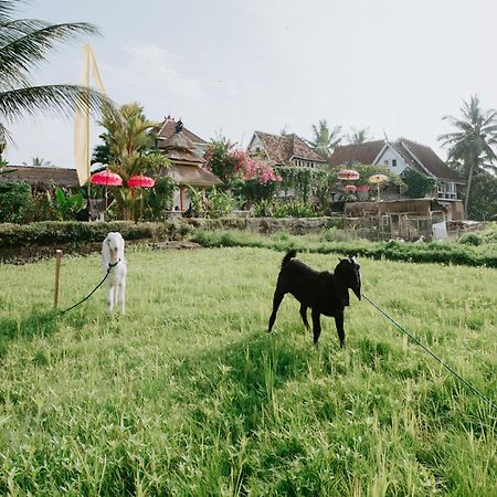 The Rice Joglo Eco-Stay Ubud  Exterior photo